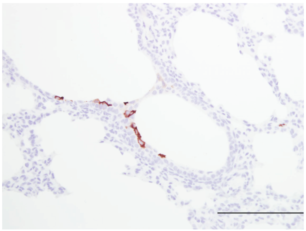 Viruses 04 02359 g003 1024