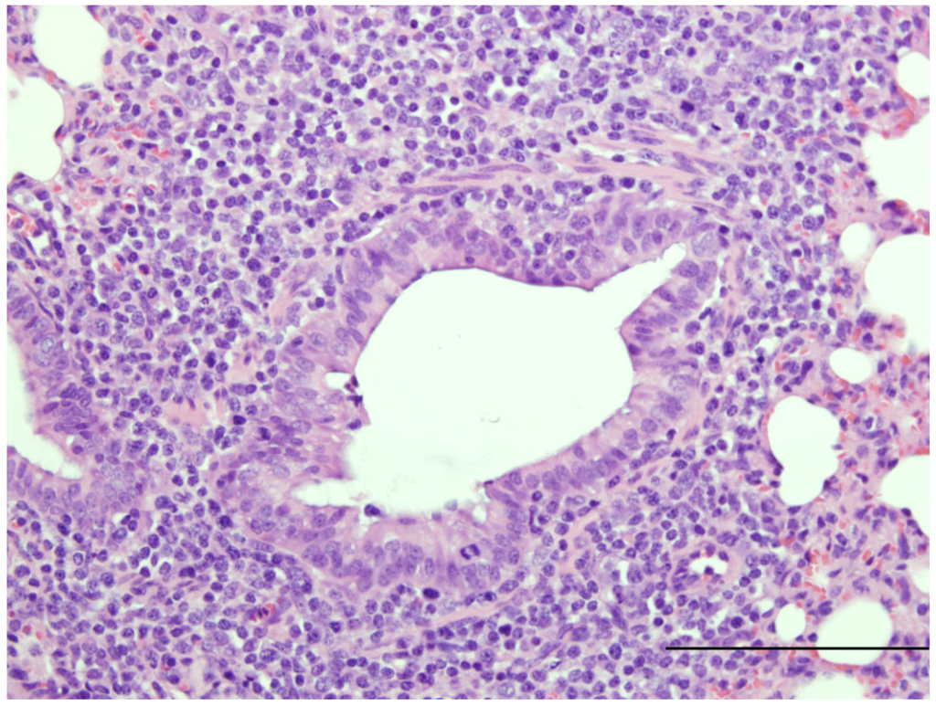 Viruses 04 02359 g004 1024