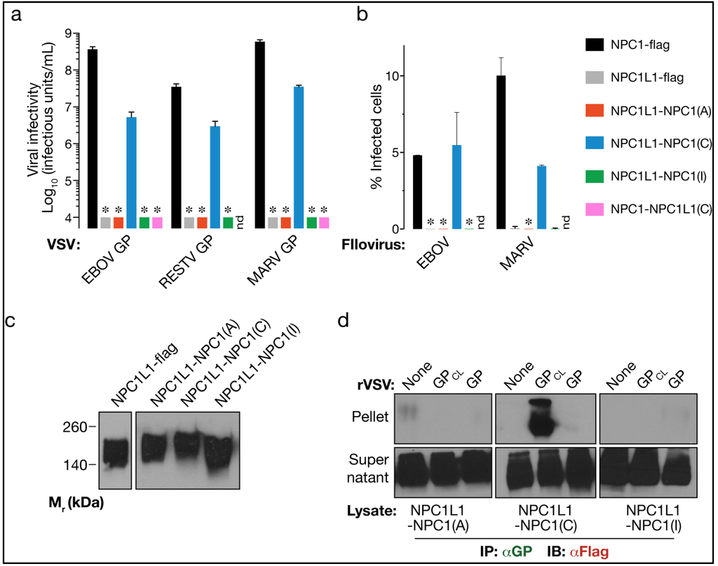 Viruses 04 02471 g002 1024