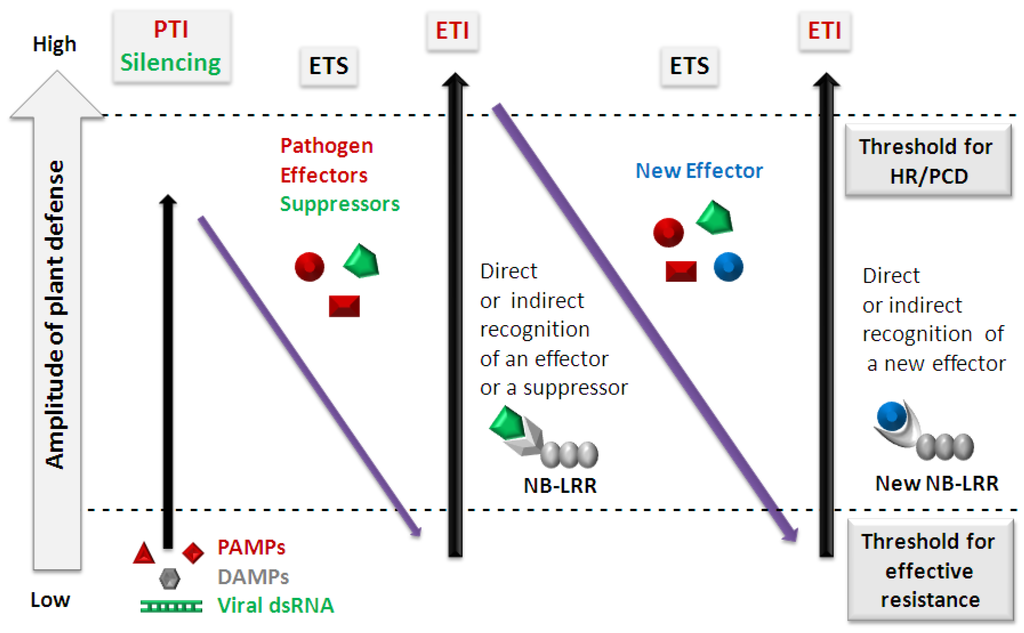 Viruses 04 02578 g001 1024