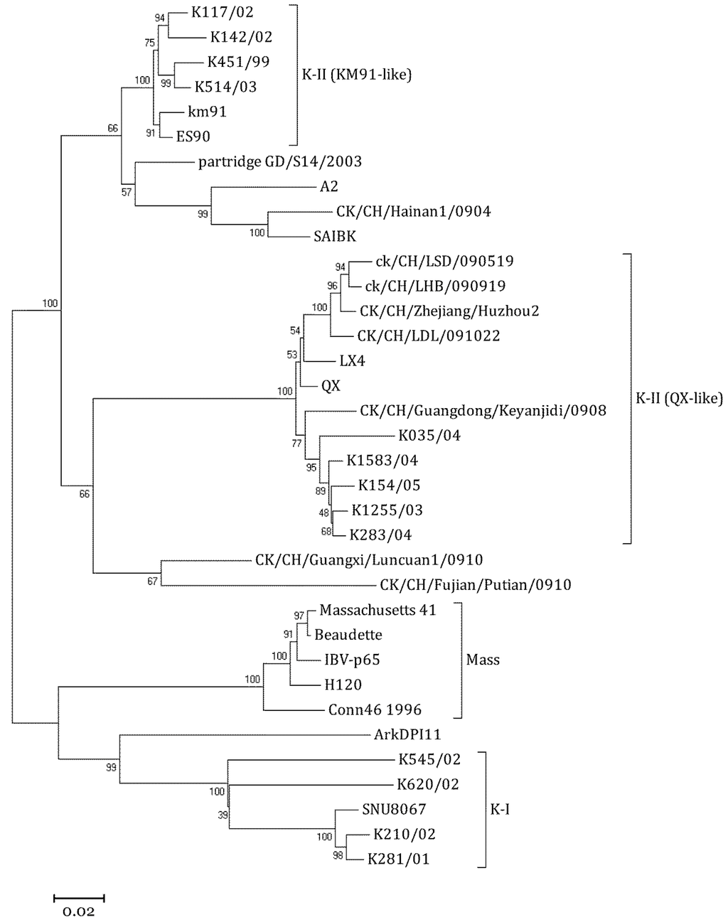 Viruses 04 02670 g001 1024