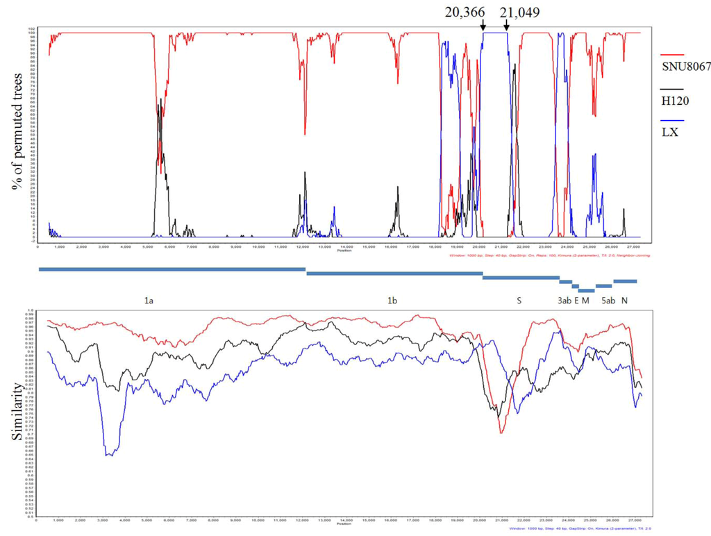 Viruses 04 02670 g002 1024