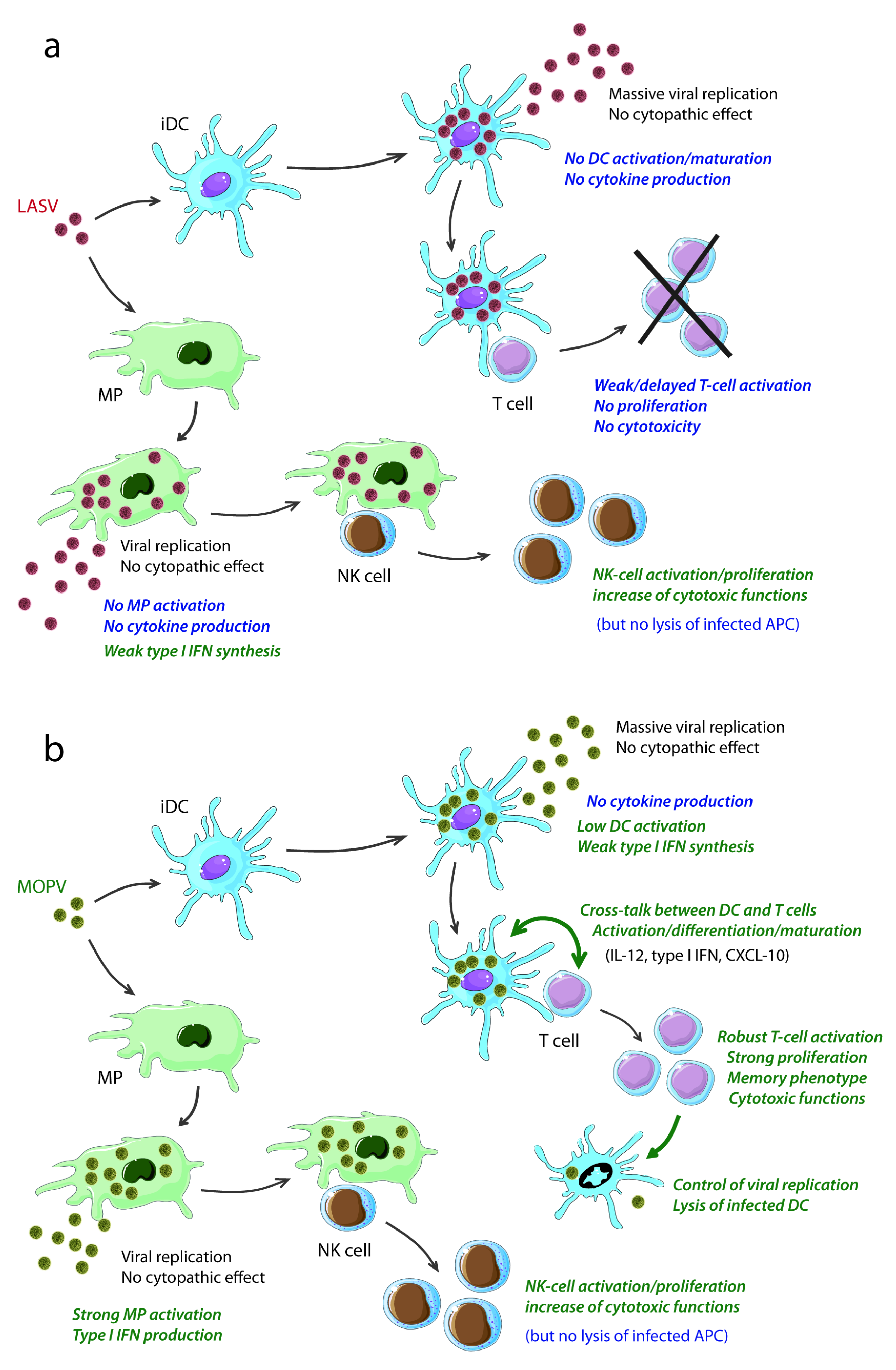 Viruses 04 02766 g001