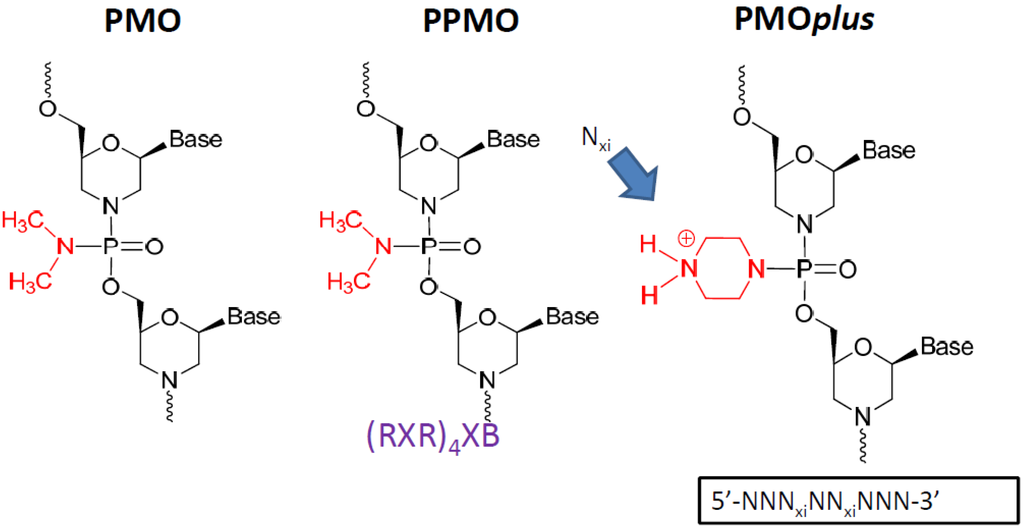 Viruses 04 02806 g001 1024