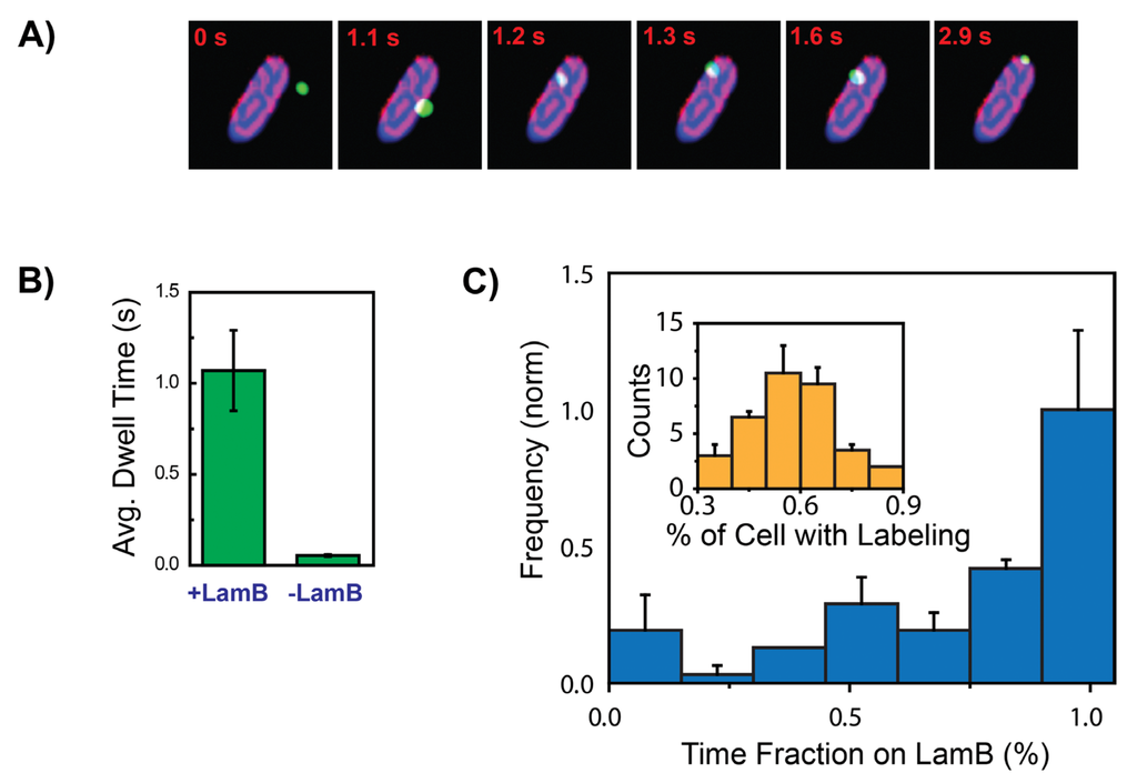 Viruses 04 03162 g005 1024