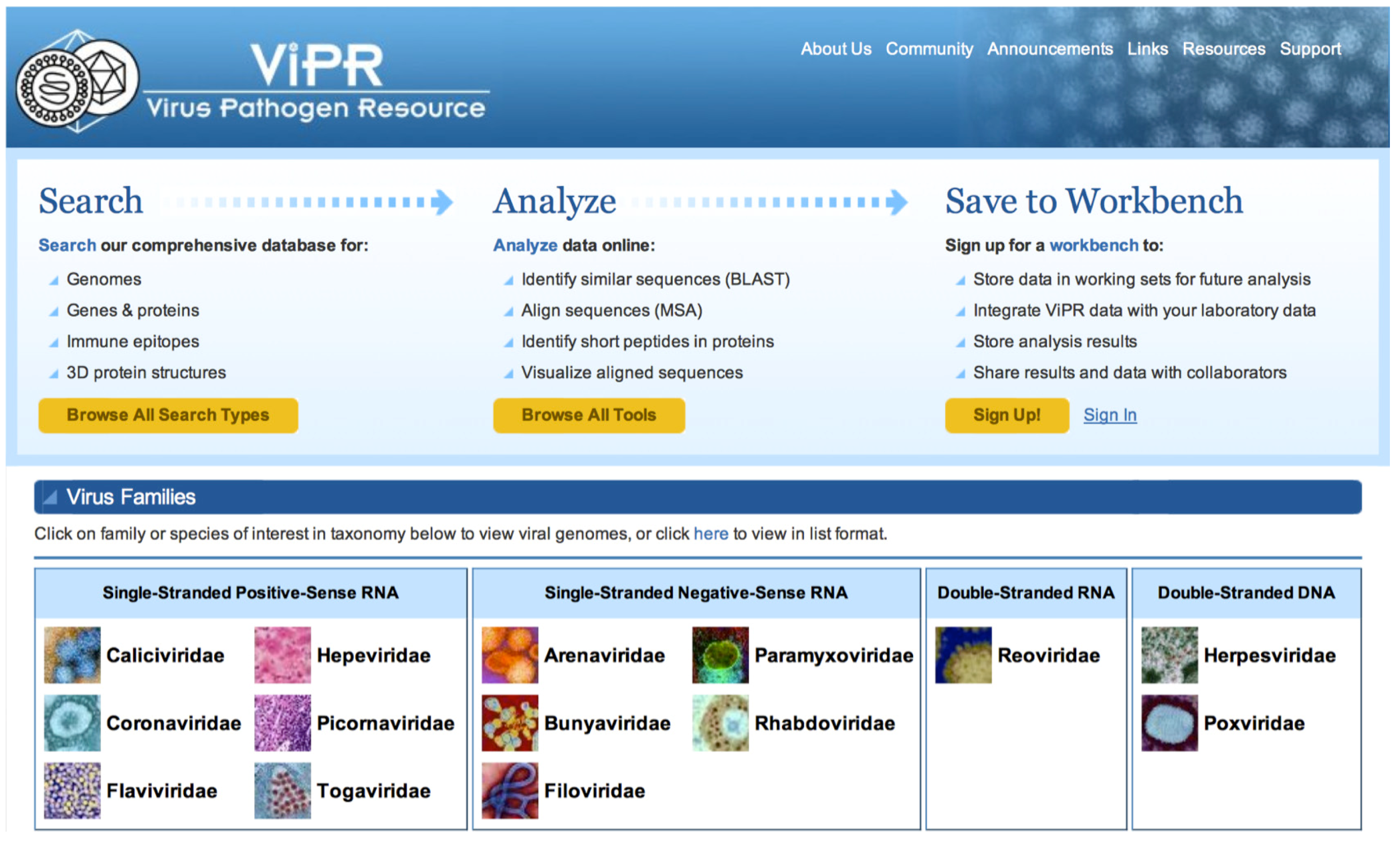 Viruses 04 03209 g001