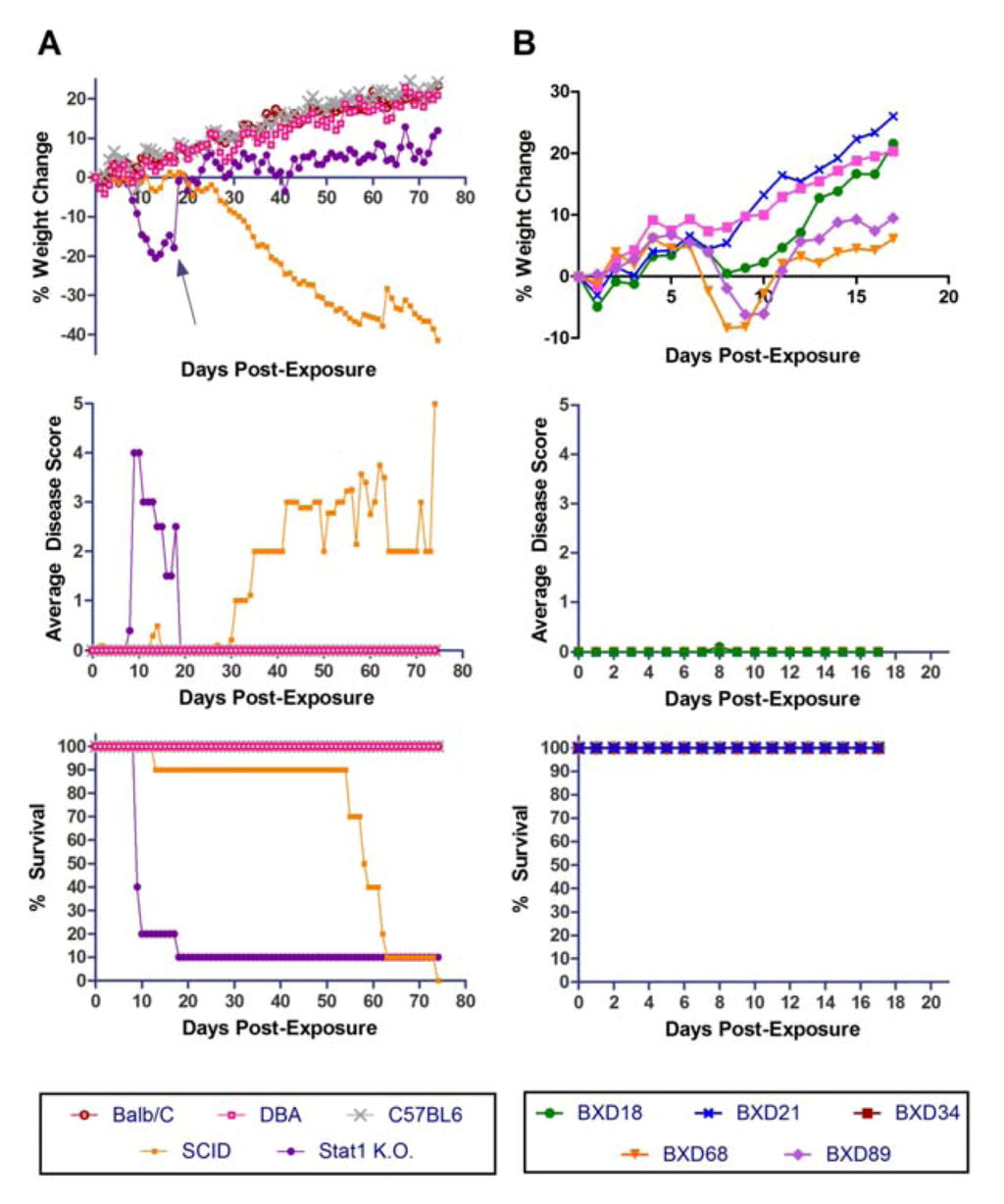 Viruses 04 03468 g003 1024
