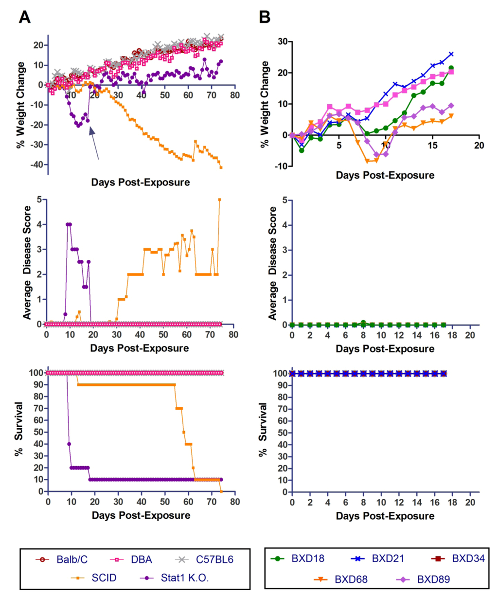 Viruses 04 03468 g006 1024