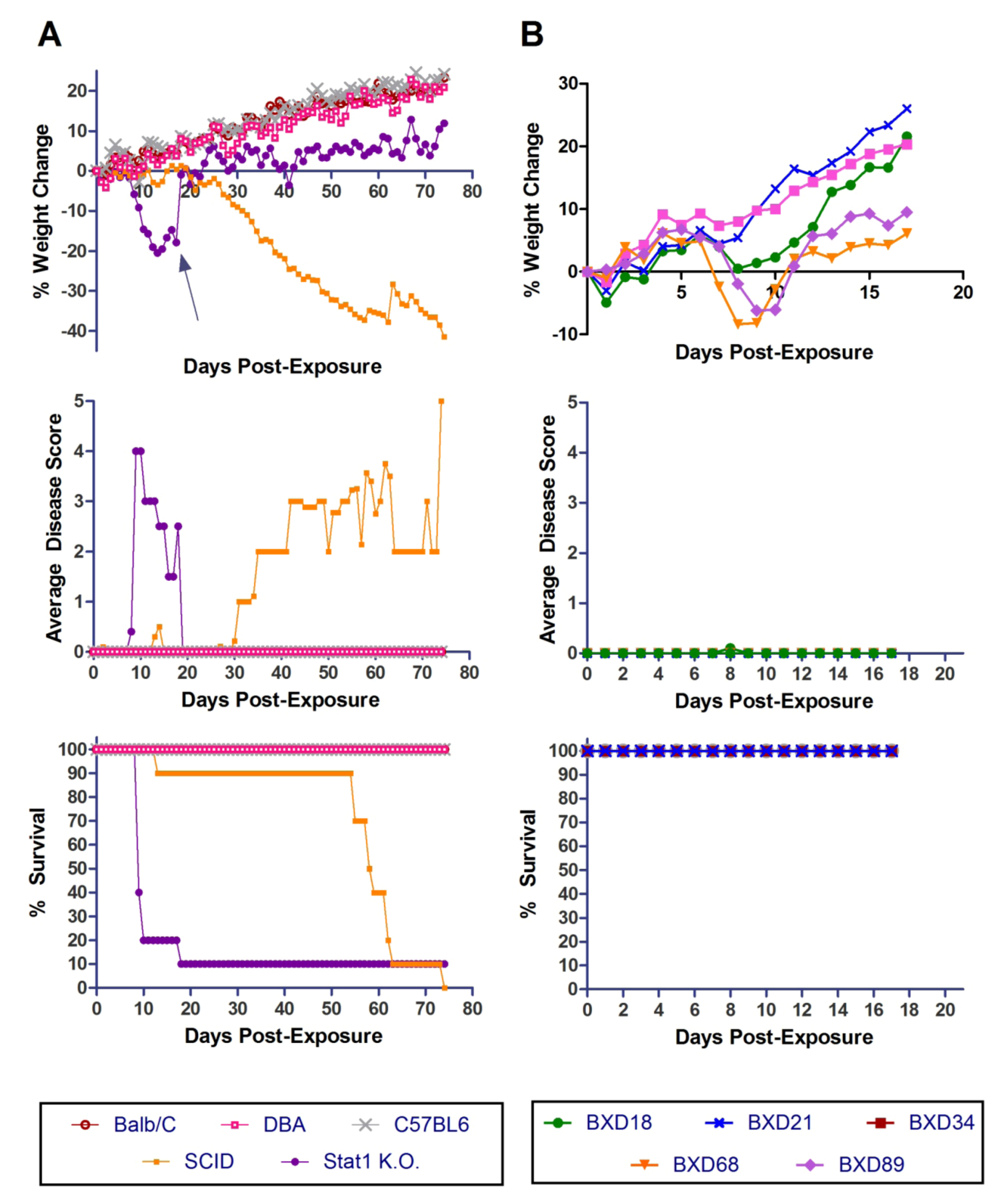 Viruses 04 03468 g006