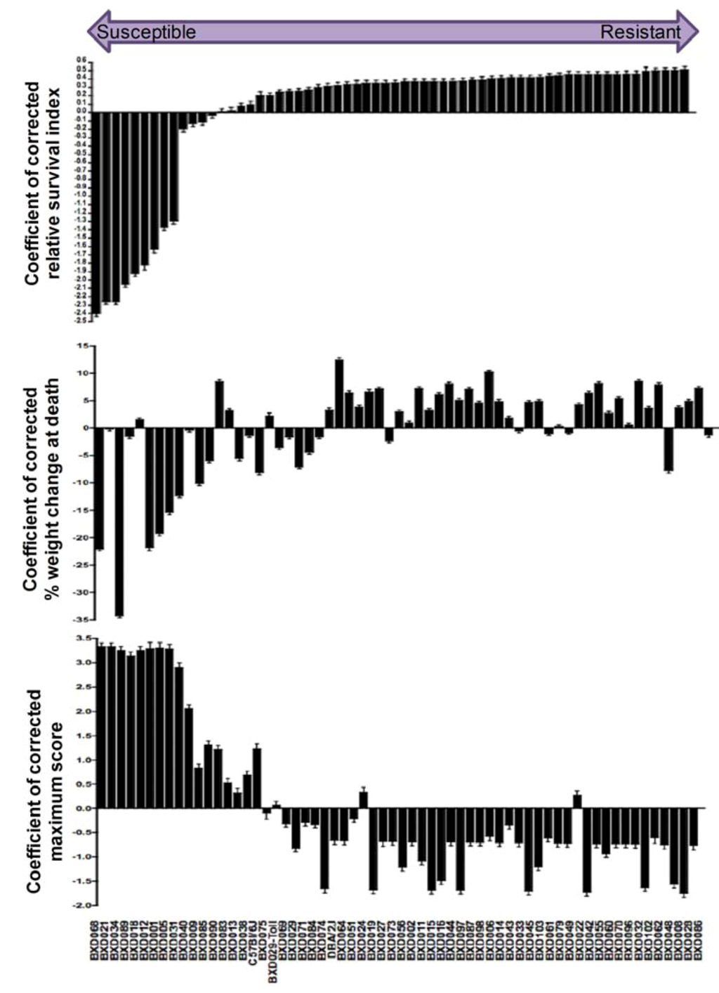 Viruses 04 03468 g007 1024