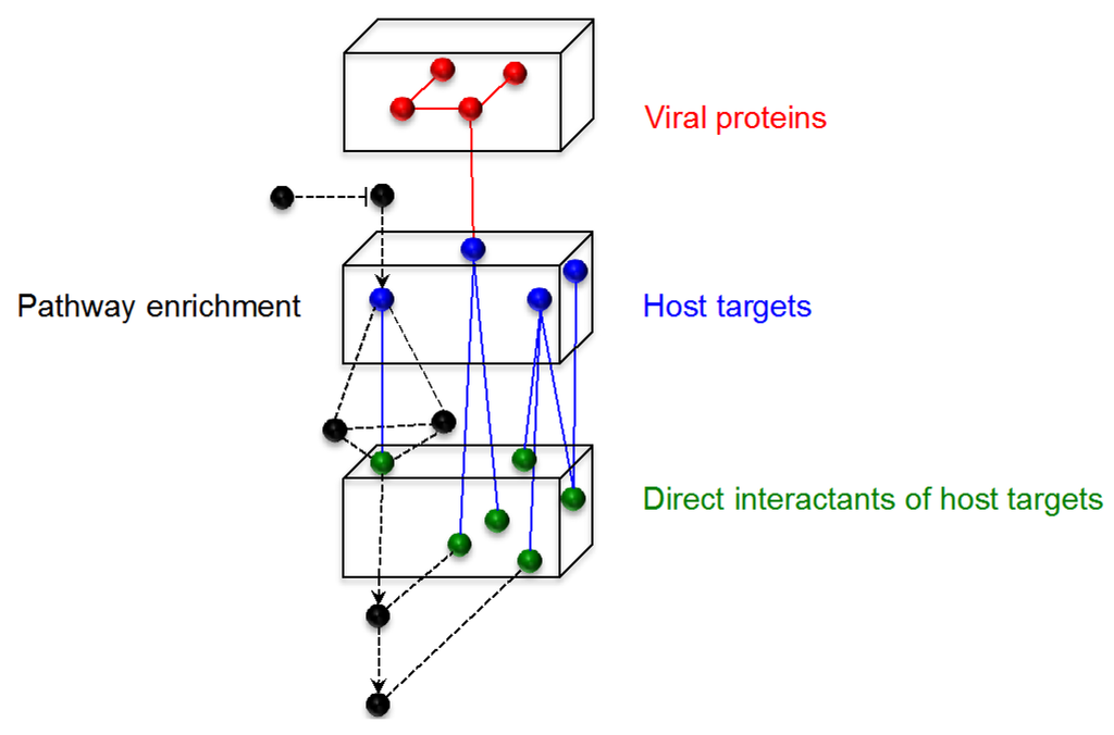 Viruses 04 03625 g002 1024