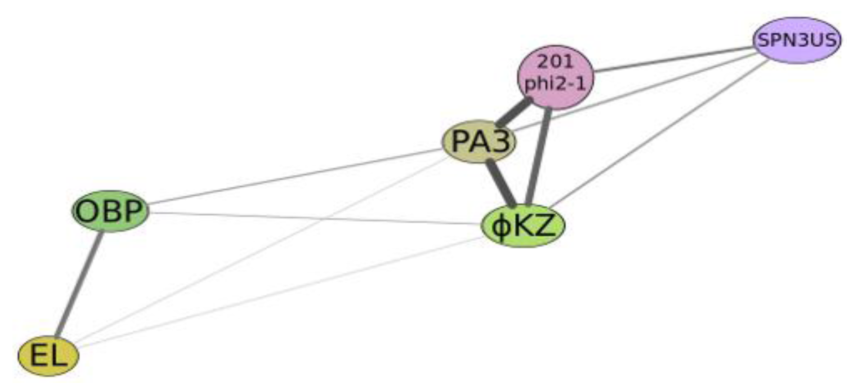 Viruses 05 00015 g004
