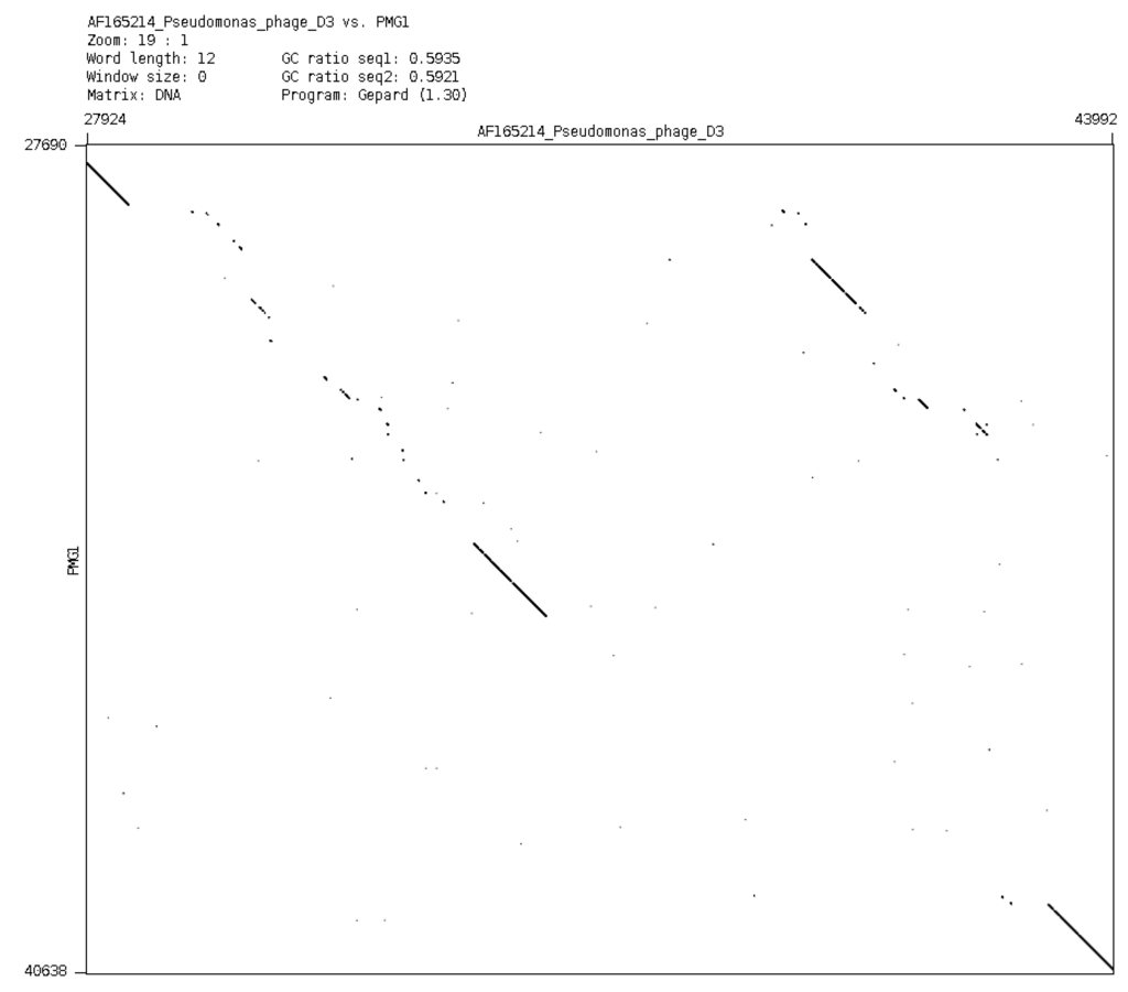 Viruses 05 00015 g006 1024
