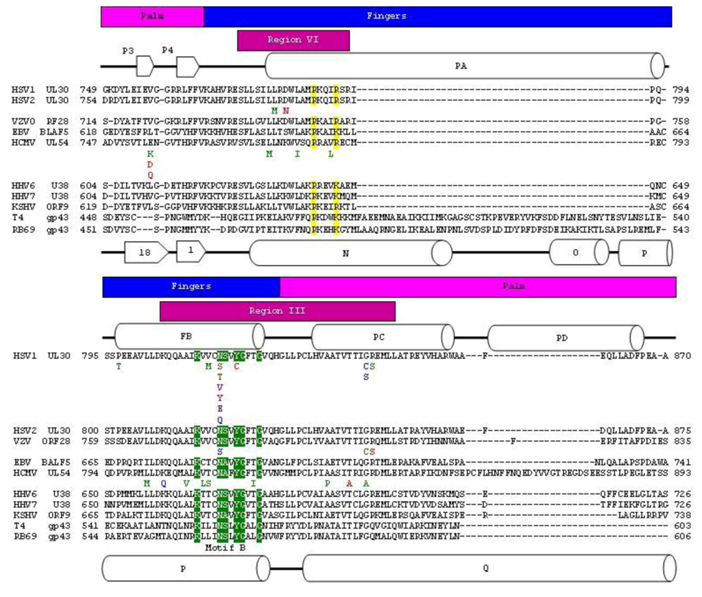 Viruses 05 00054 g002 1024