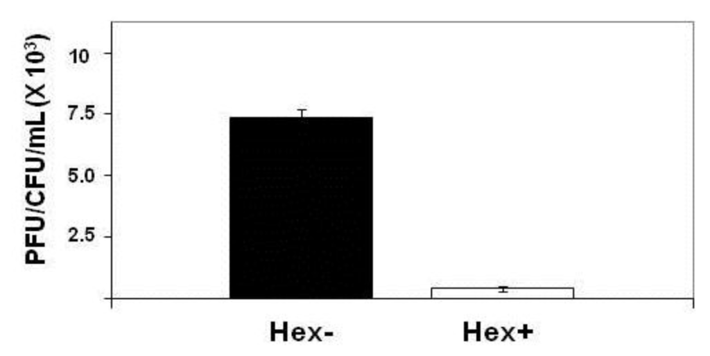 Viruses 05 00111 g004 1024