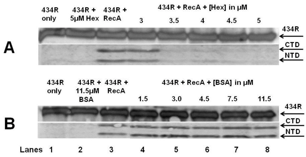 Viruses 05 00111 g007 1024