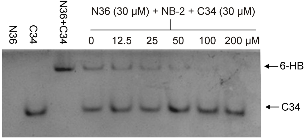 Viruses 05 00127 g002 1024