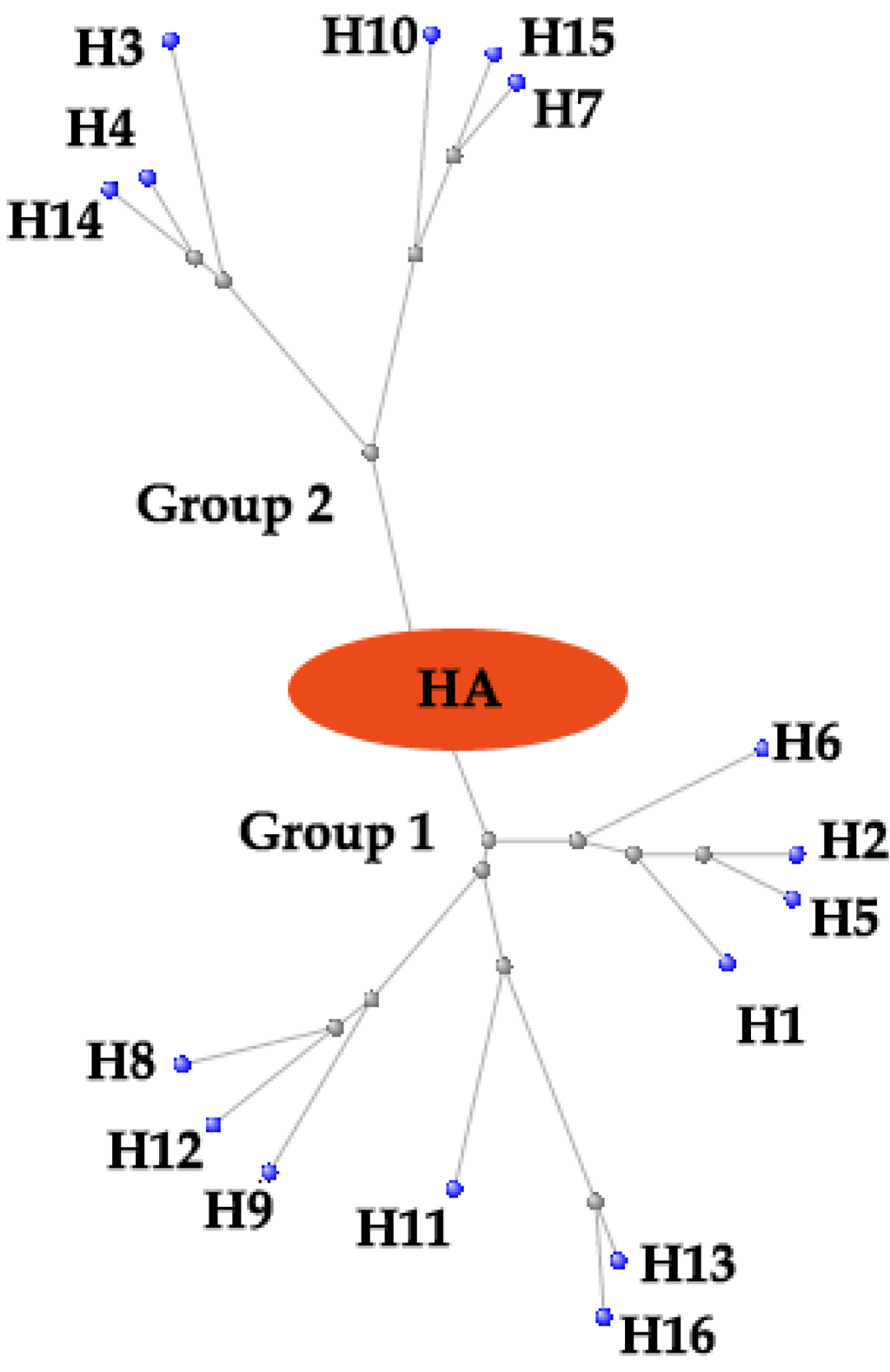 Viruses 05 00352 g001 1024