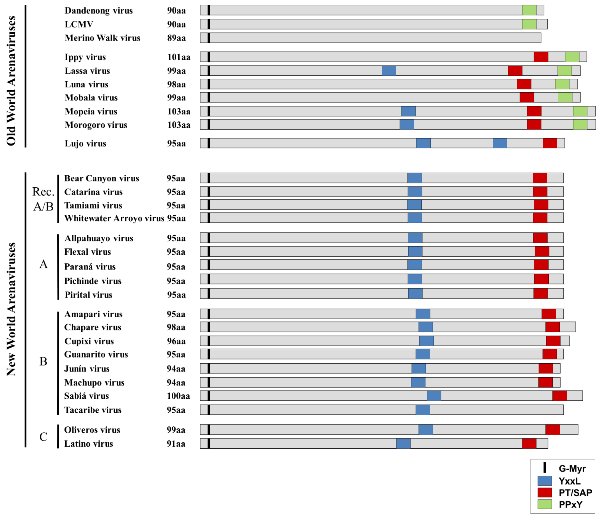 Viruses 05 00528 g004