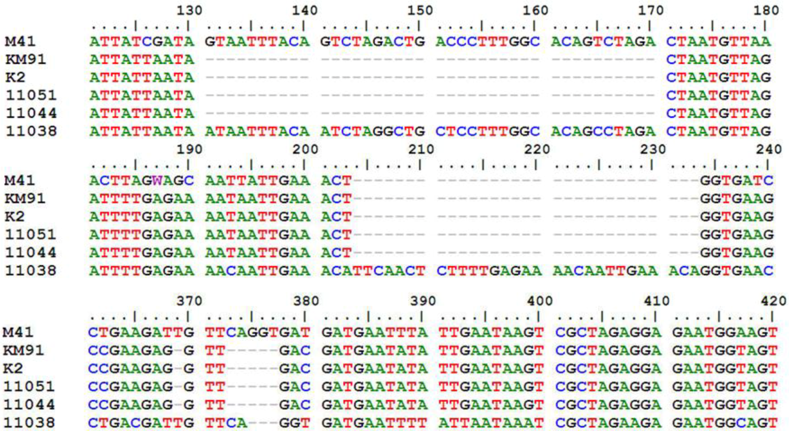 Viruses 05 00550 g001
