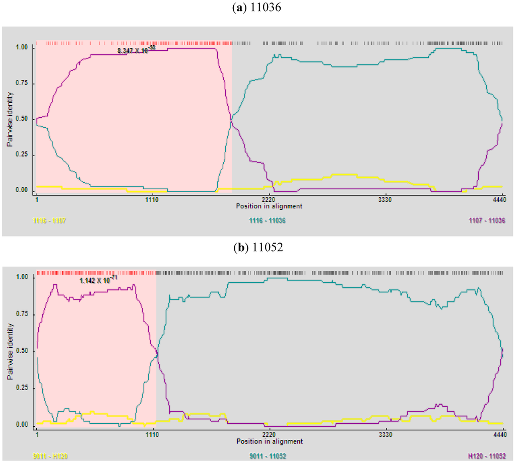 Viruses 05 00550 g003 1024