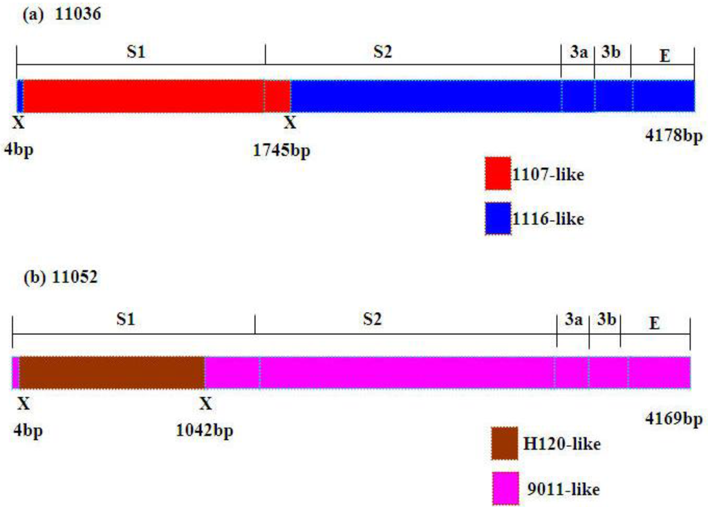Viruses 05 00550 g004 1024
