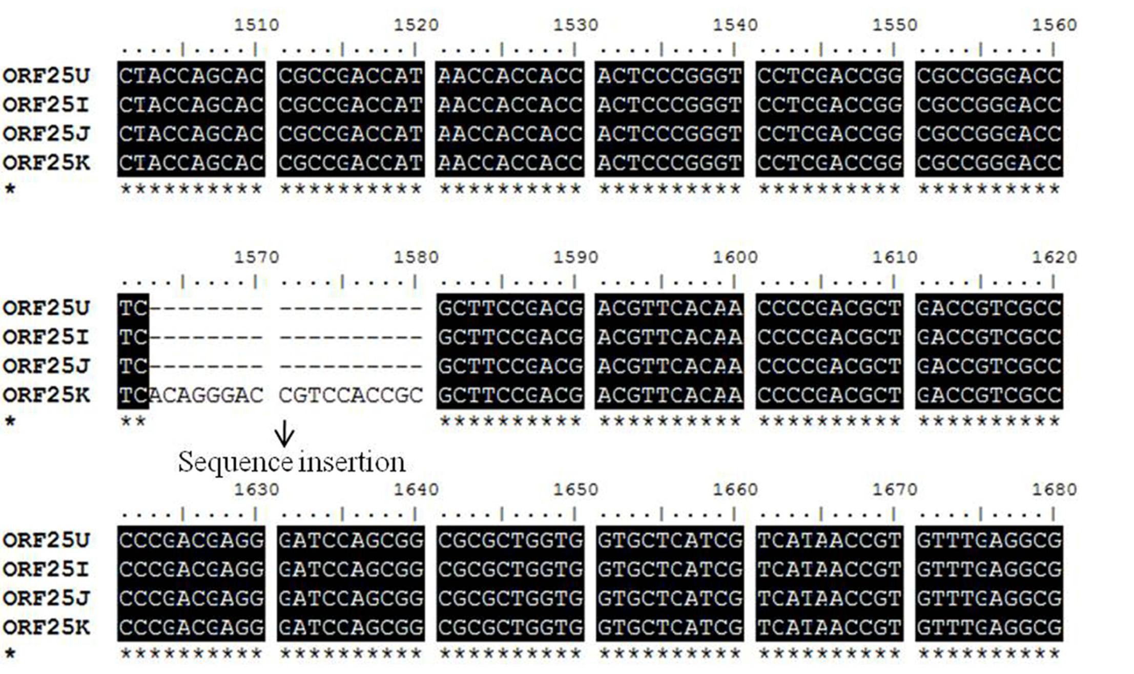 Viruses 05 00568 g001