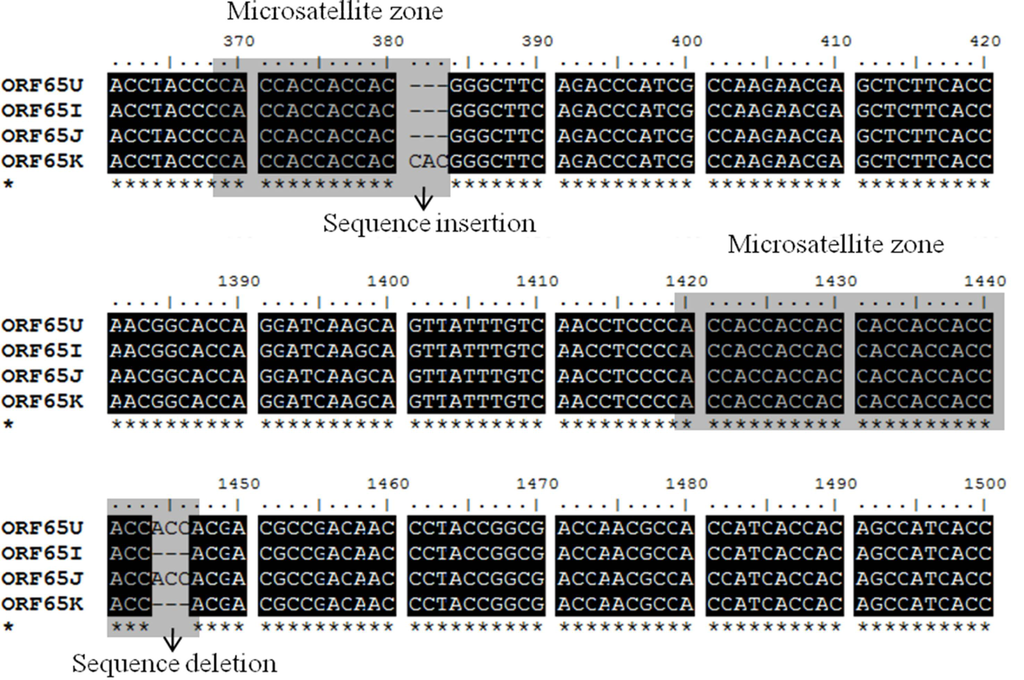 Viruses 05 00568 g002 1024