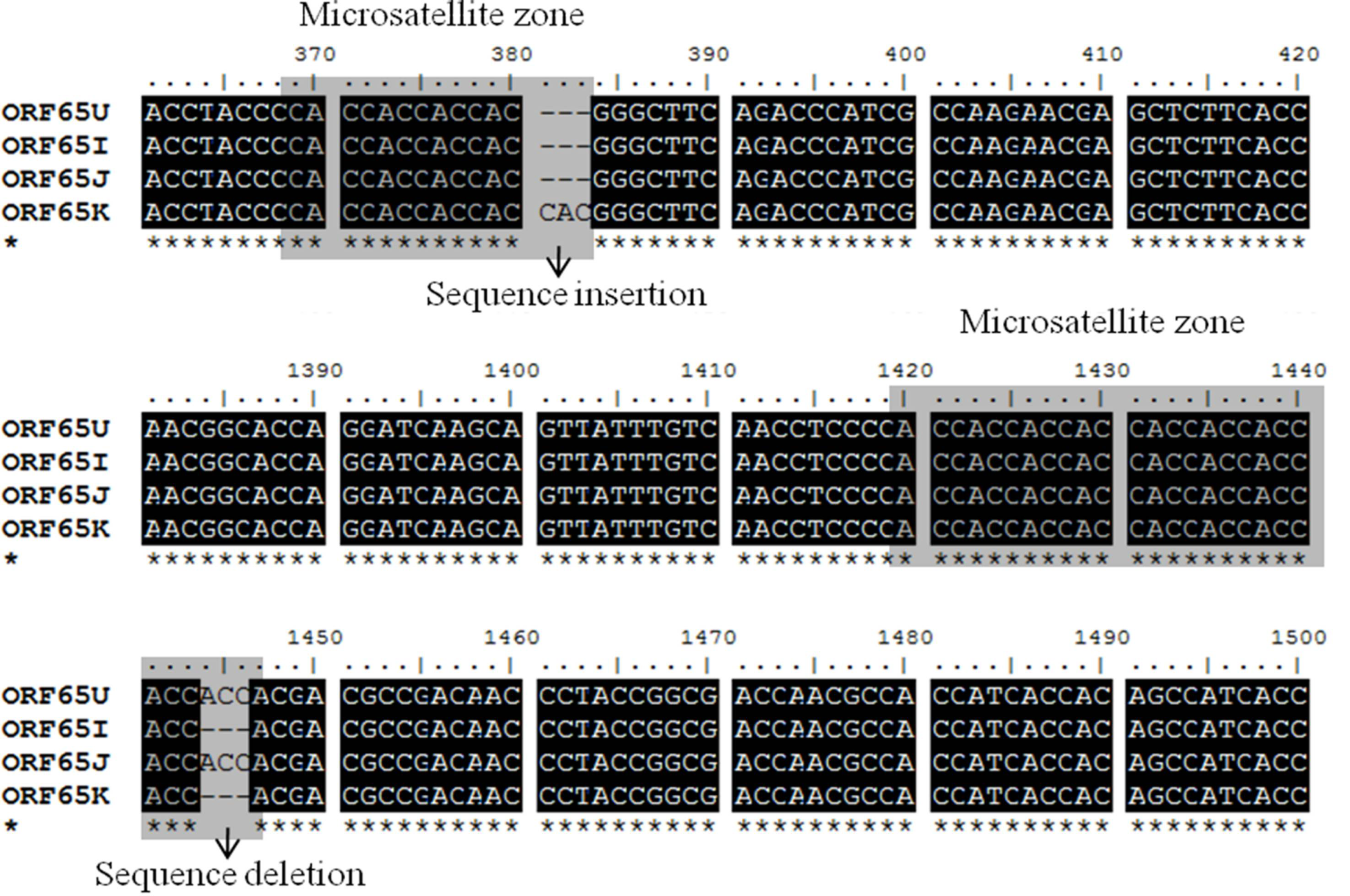 Viruses 05 00568 g002