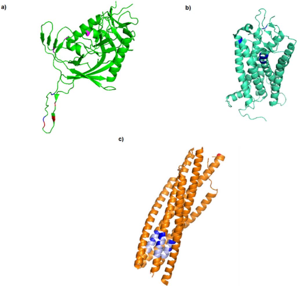 Viruses 05 00595 g001 1024