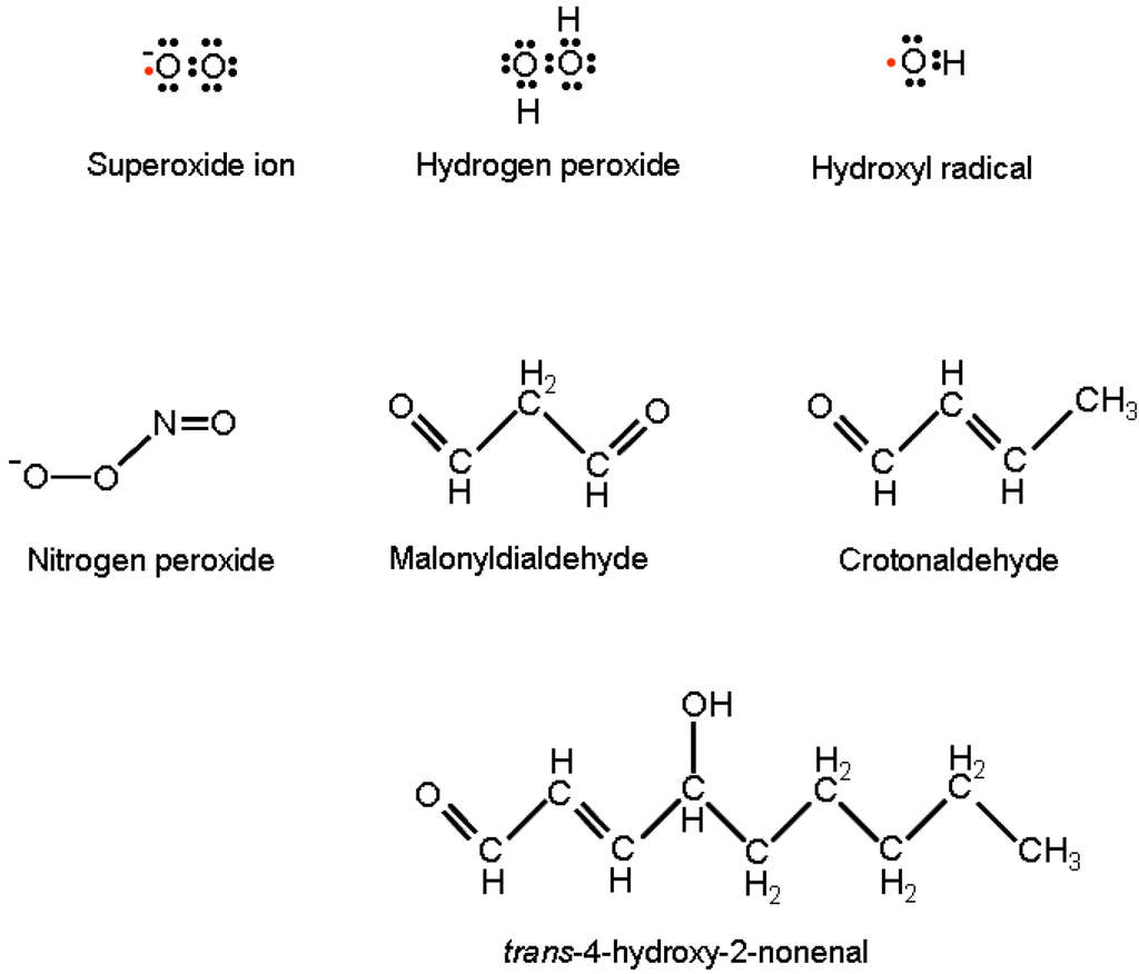 Viruses 05 00708 g001 1024