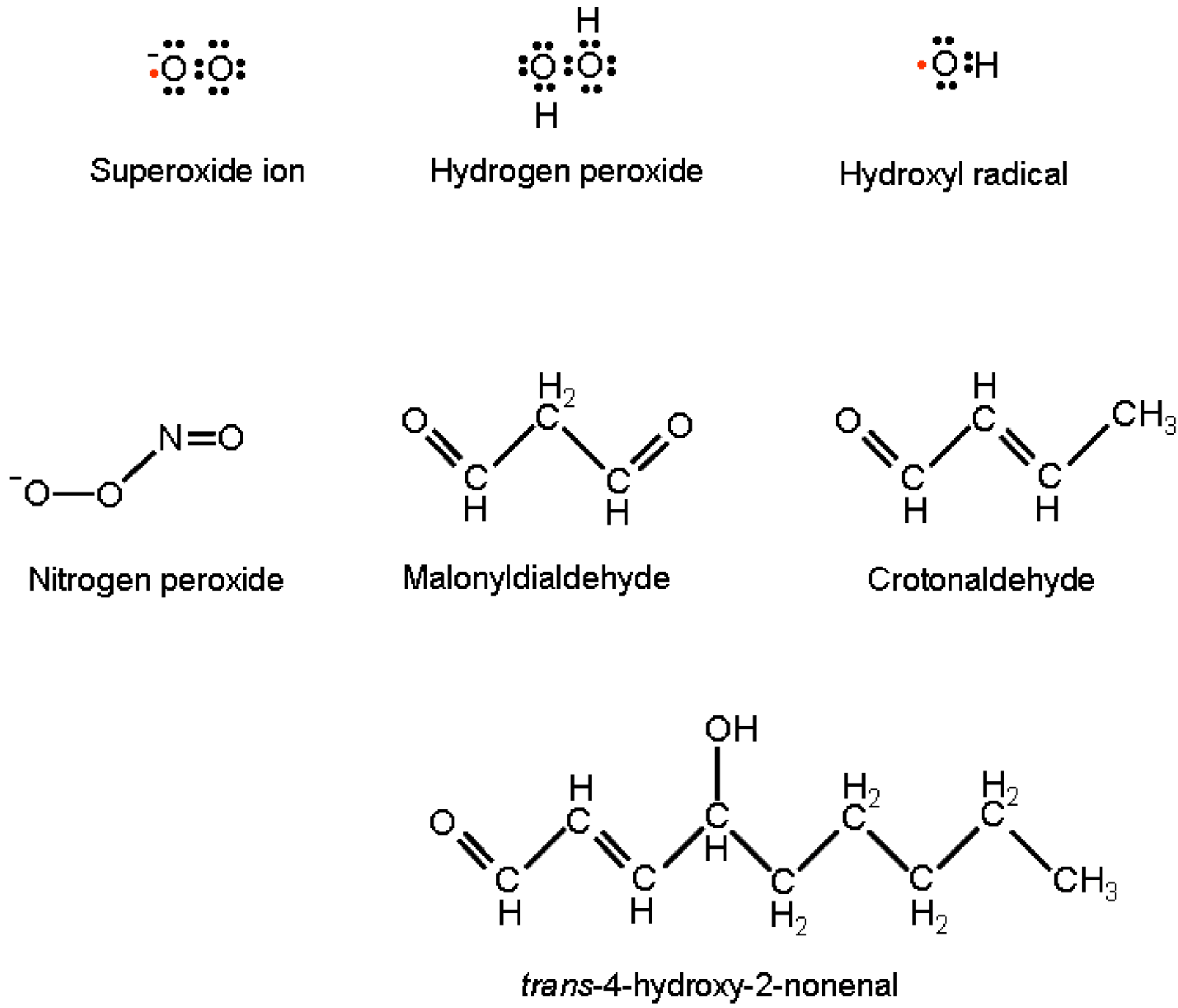 Viruses 05 00708 g001