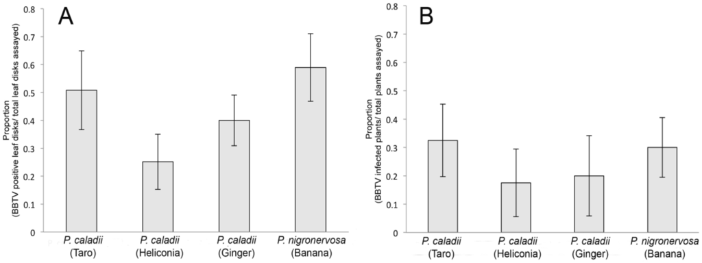 Viruses 05 00758 g004 1024