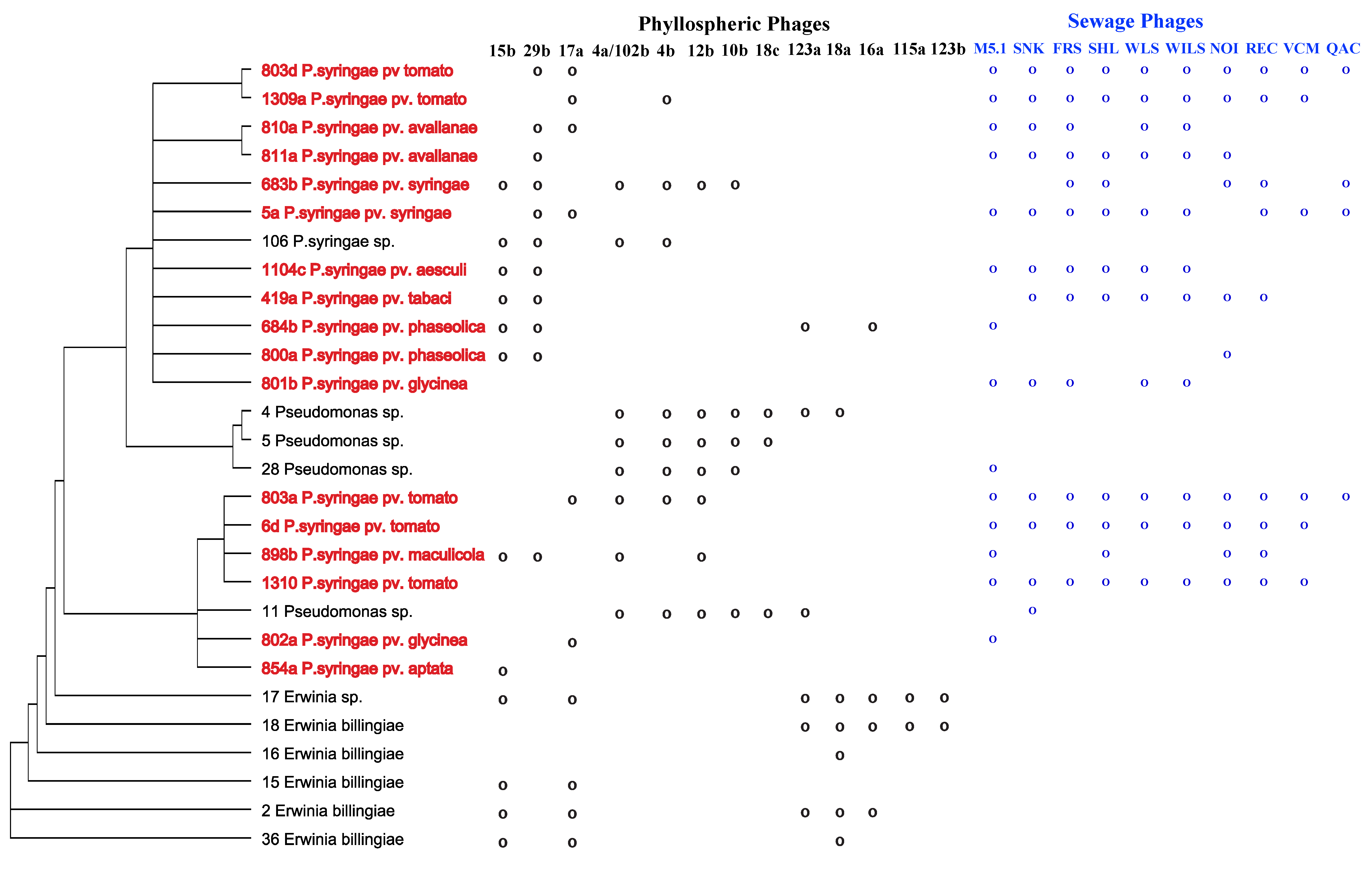 Viruses 05 00806 g002