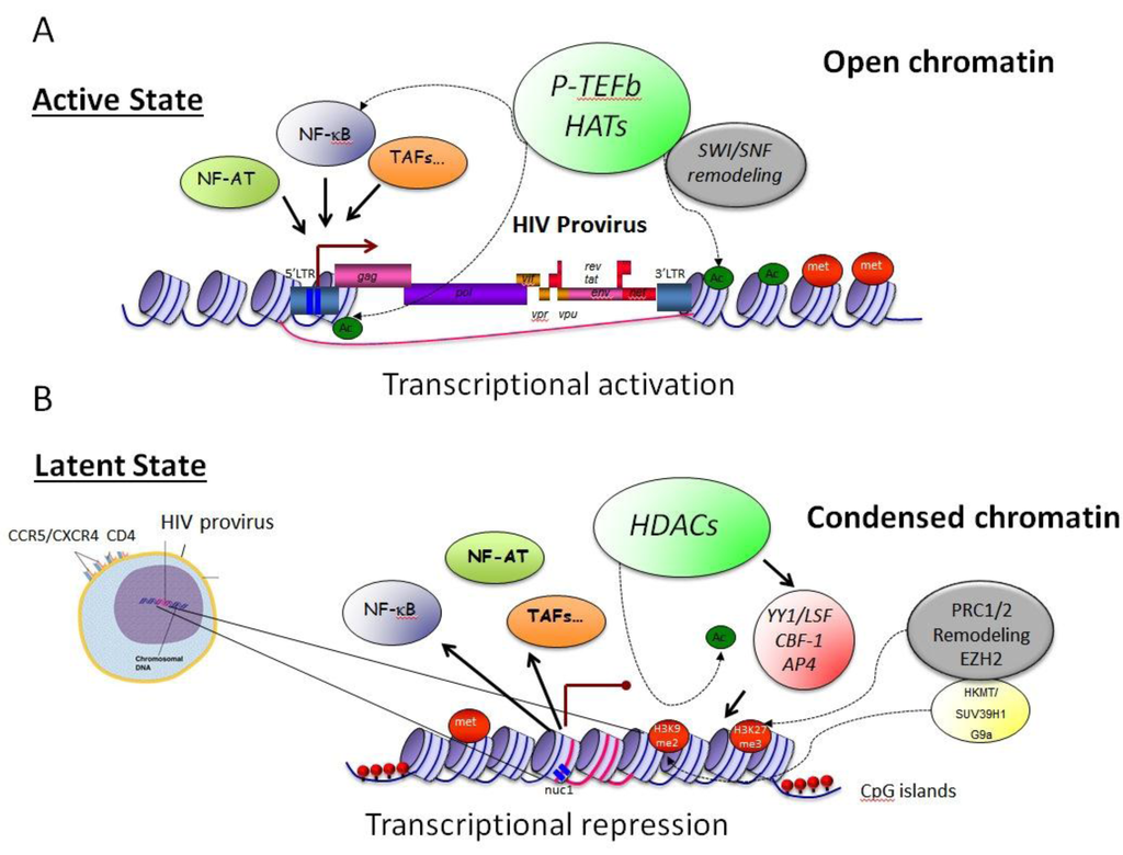 Viruses 05 00902 g001 1024