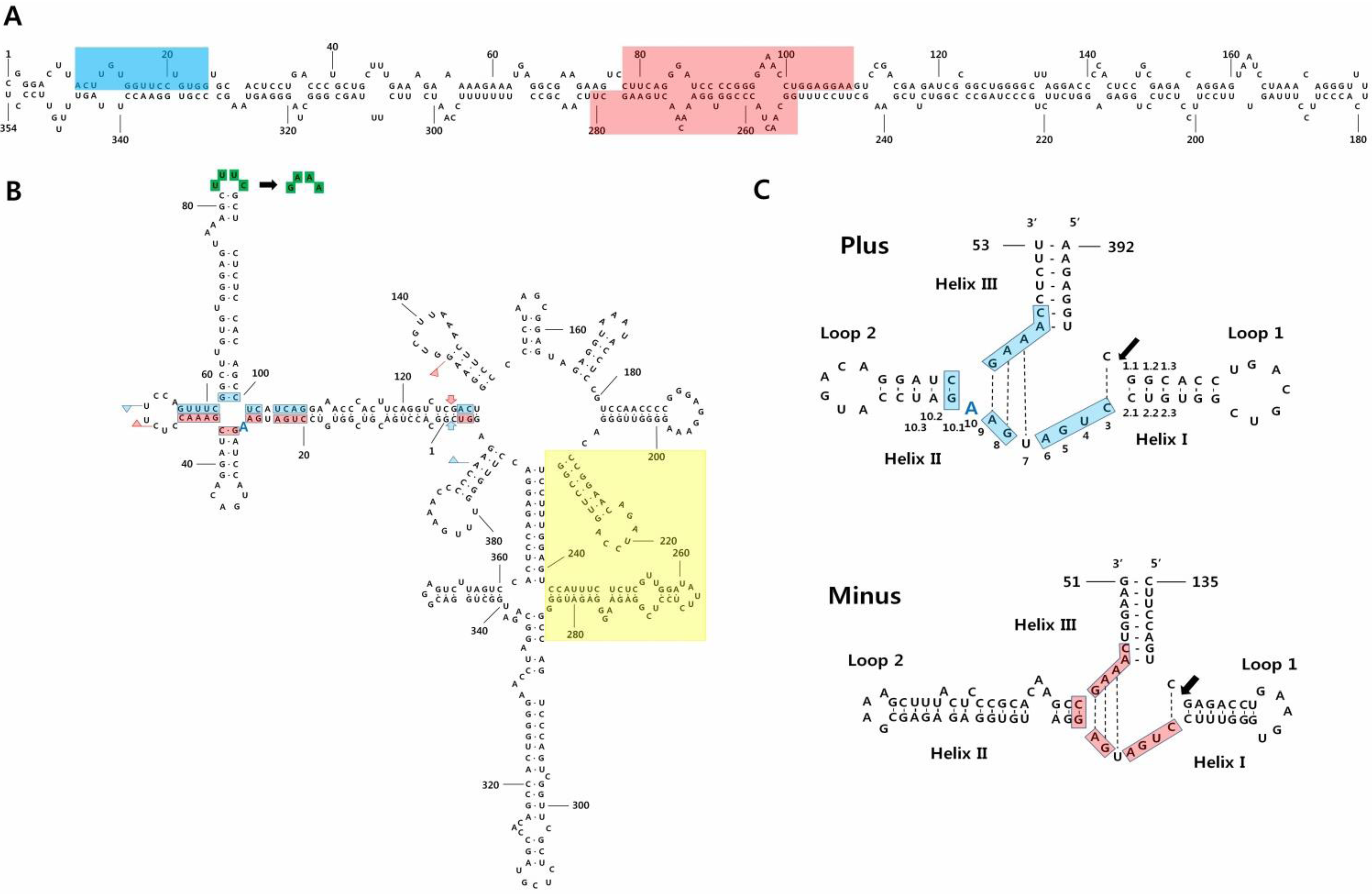 Viruses 05 01099 g001