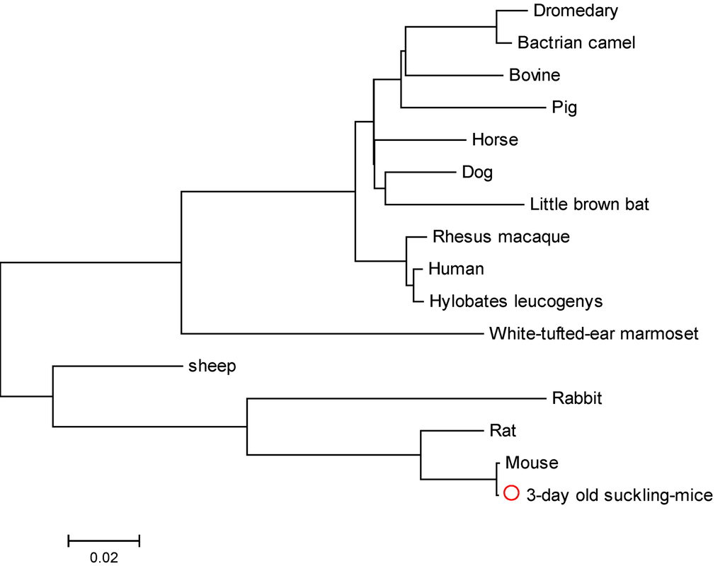 Viruses 05 01114 g001 1024