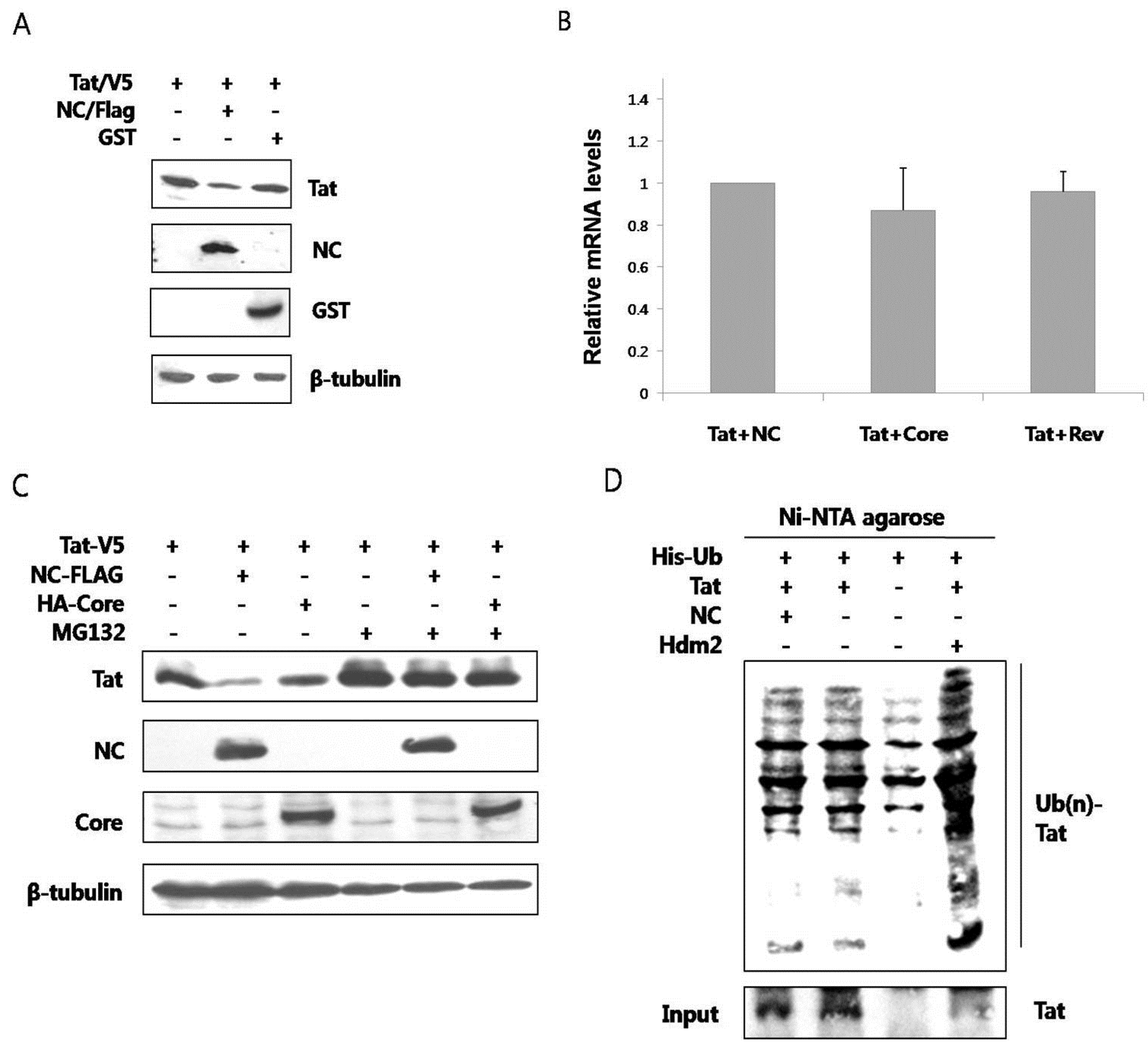 Viruses 05 01143 g002