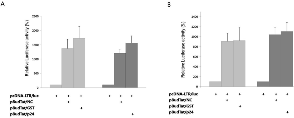 Viruses 05 01143 g003 1024