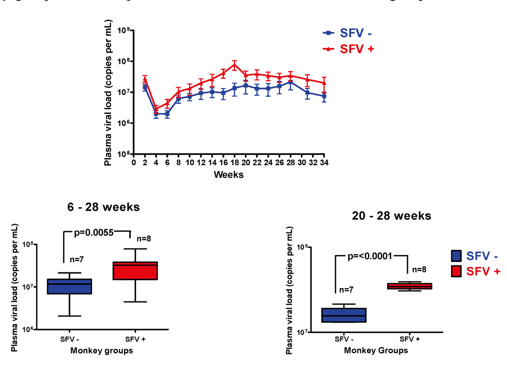 Viruses 05 01414 g004 1024