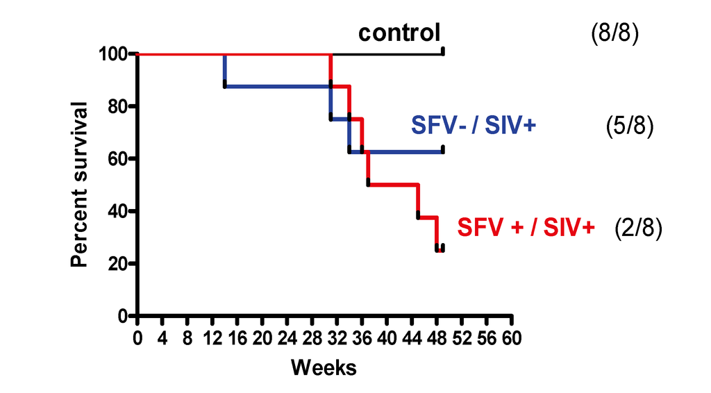 Viruses 05 01414 g005 1024