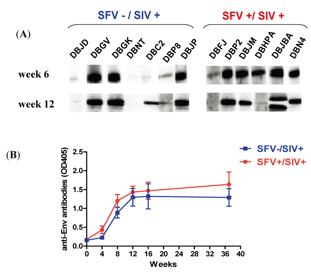 Viruses 05 01414 g006 1024