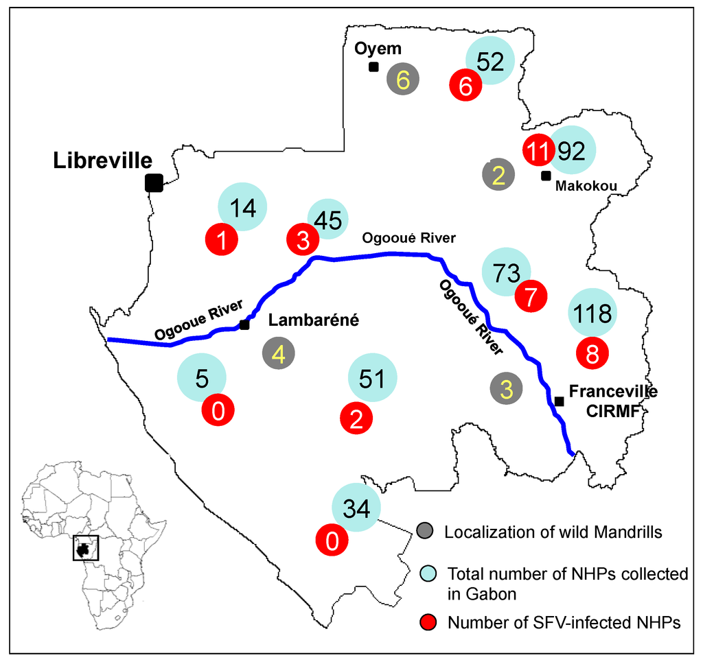 Viruses 05 01536 g003 1024