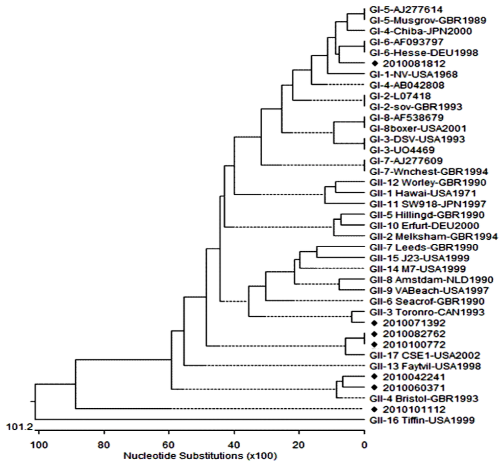 Viruses 05 01646 g001 1024