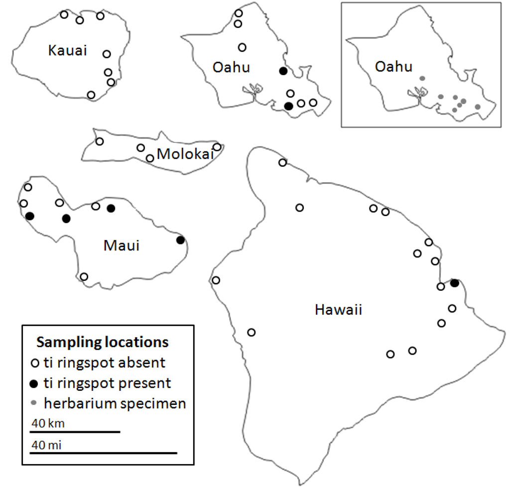 Viruses 05 01655 g002 1024