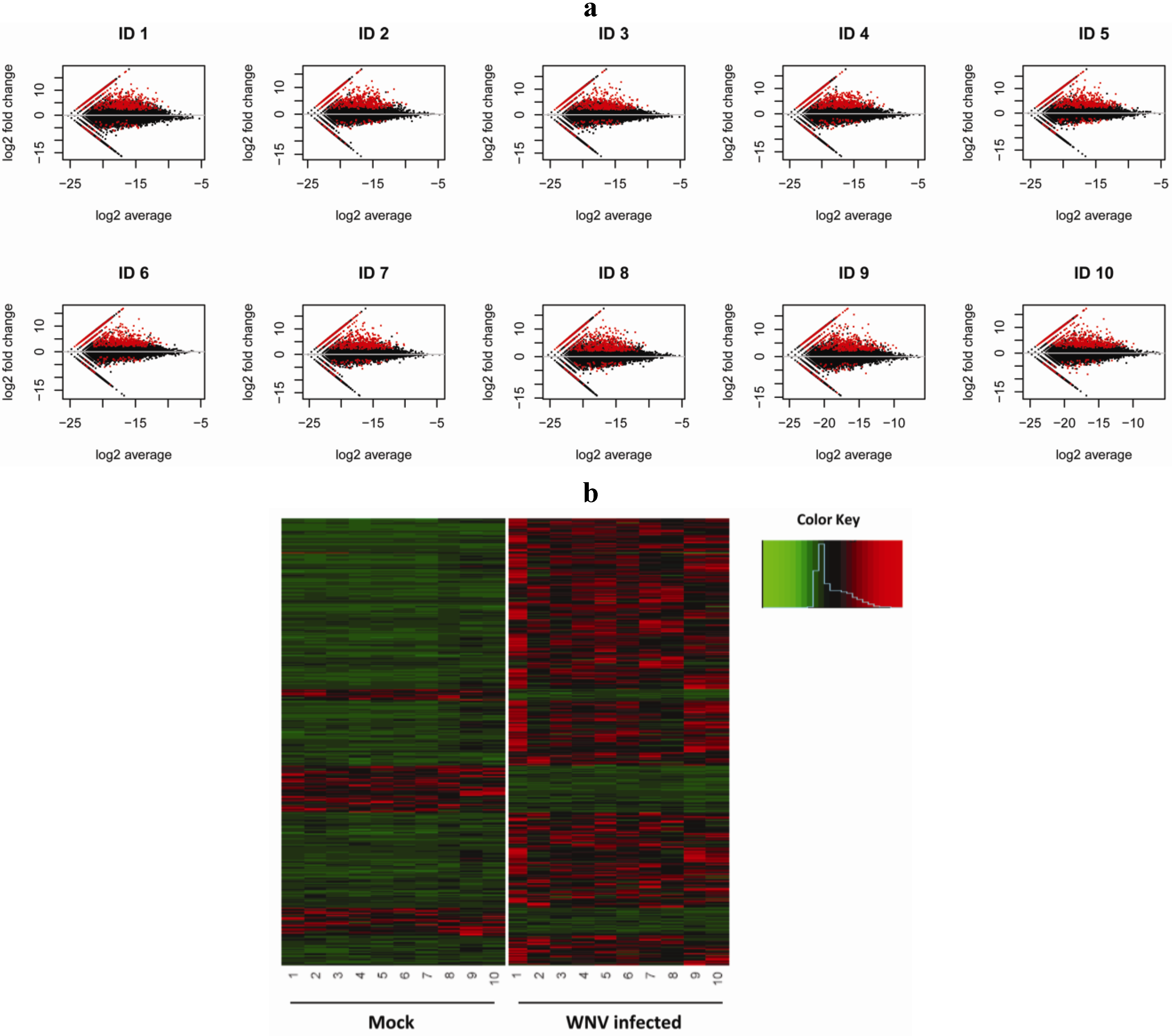 Viruses 05 01664 g001