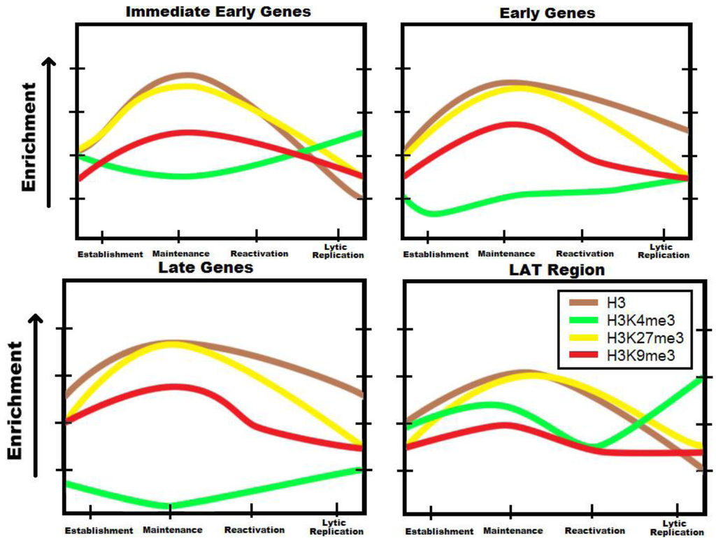 Viruses 05 01740 g002 1024