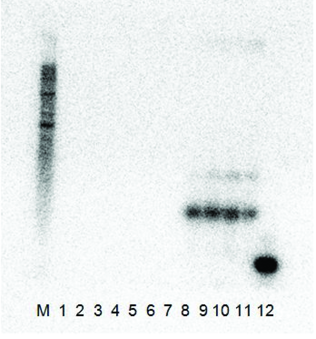 Viruses 05 01815 g002 1024