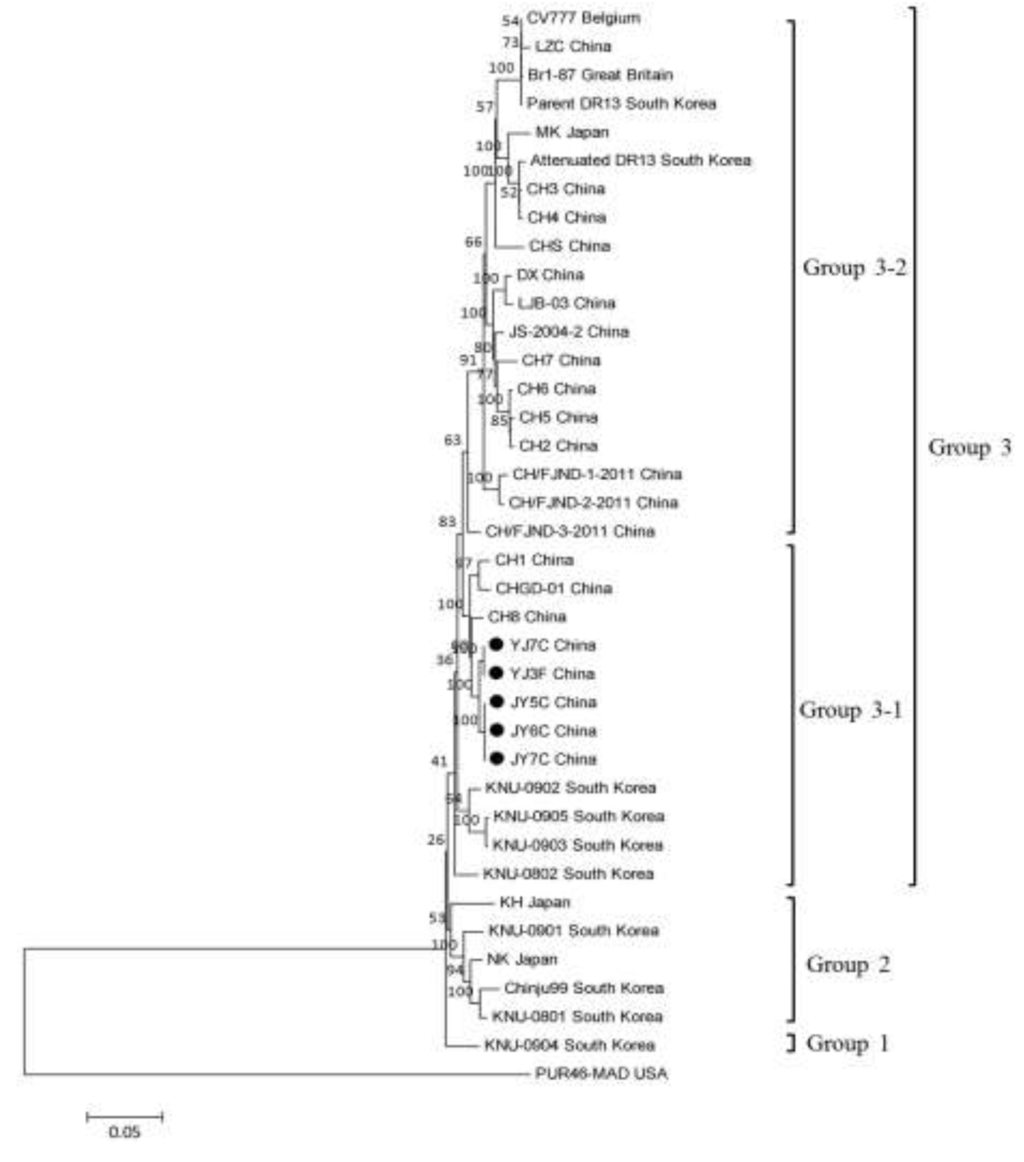 Viruses 05 01991 g003 1024