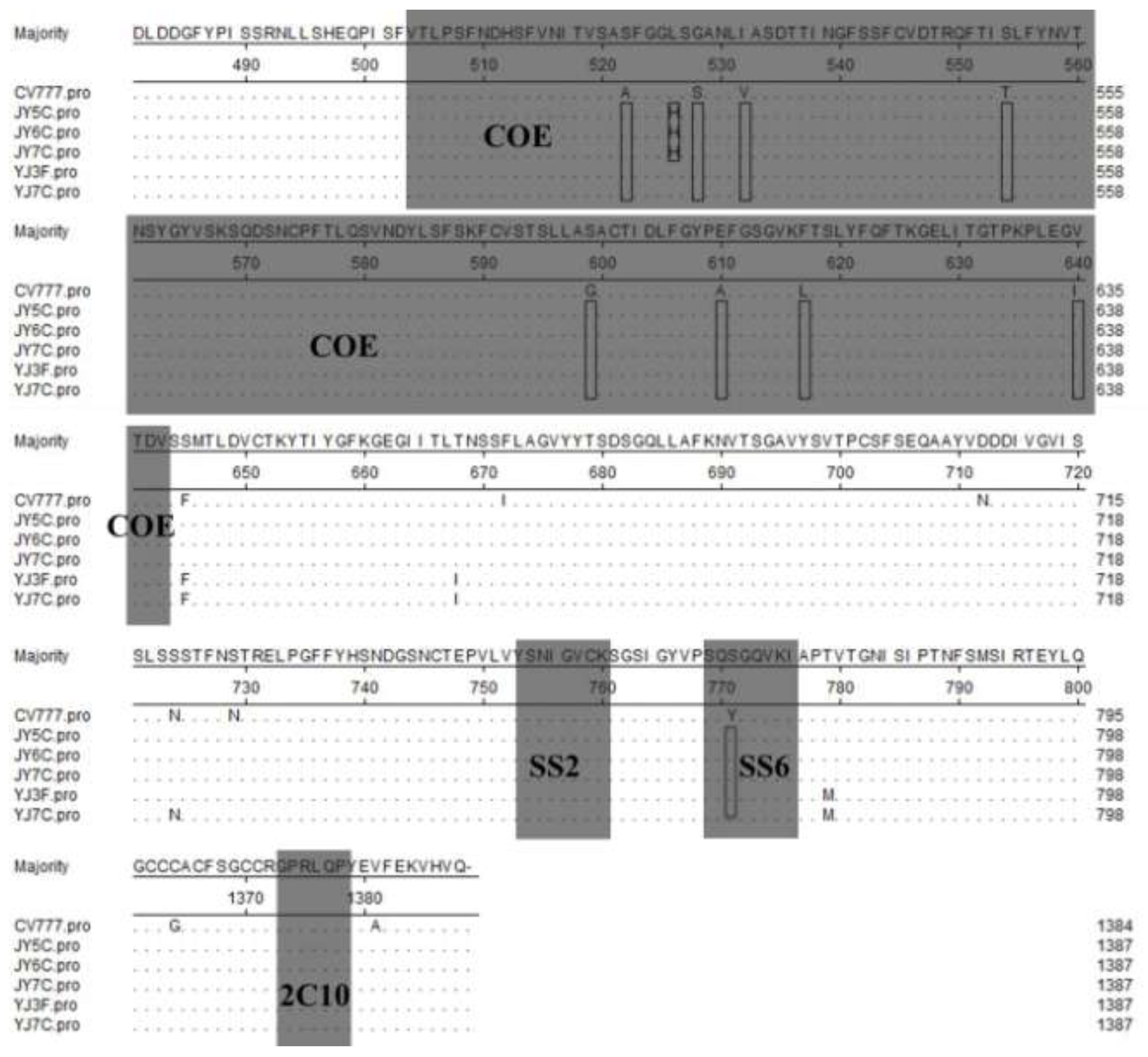 Viruses 05 01991 g005